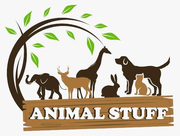 IMG-20240119-WA0008